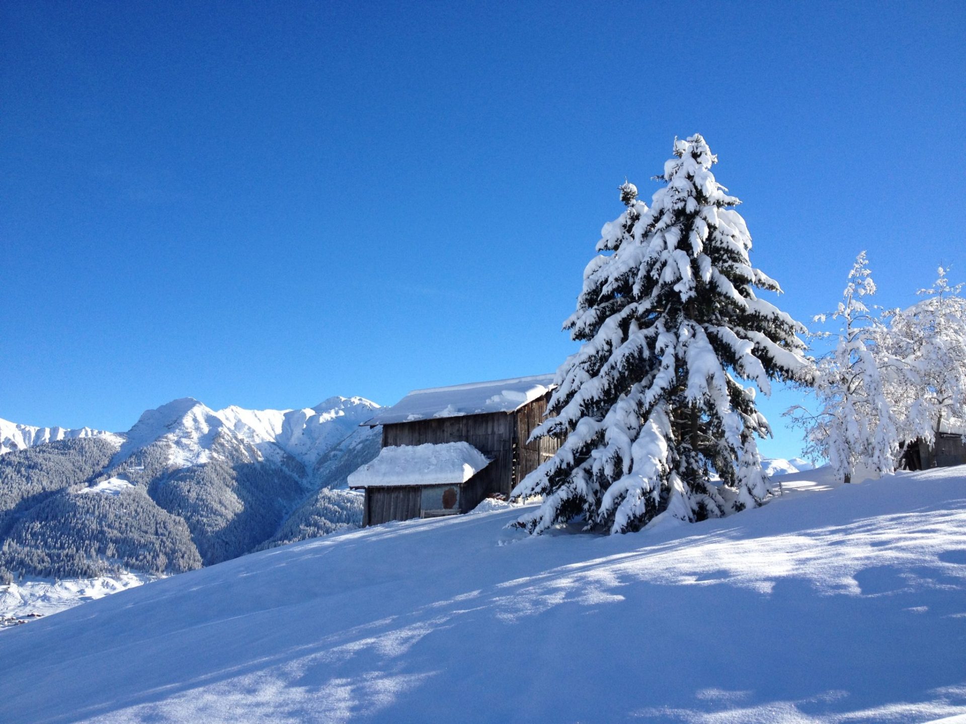 Frisch verschneite Winterlandschaft mit Baum im Vordergrund.