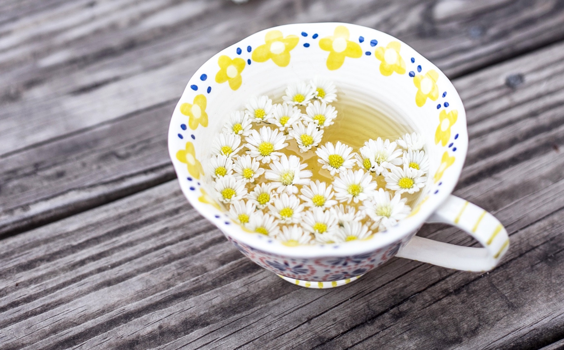 @ornella binni | unsplash