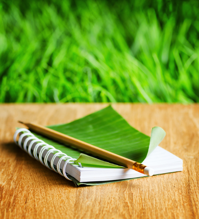 Grüner Block auf Tisch. Gras im Hintergrund.
