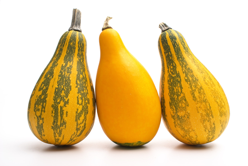 Schwer vorstellbar, dass der Sommer wieder kommt.