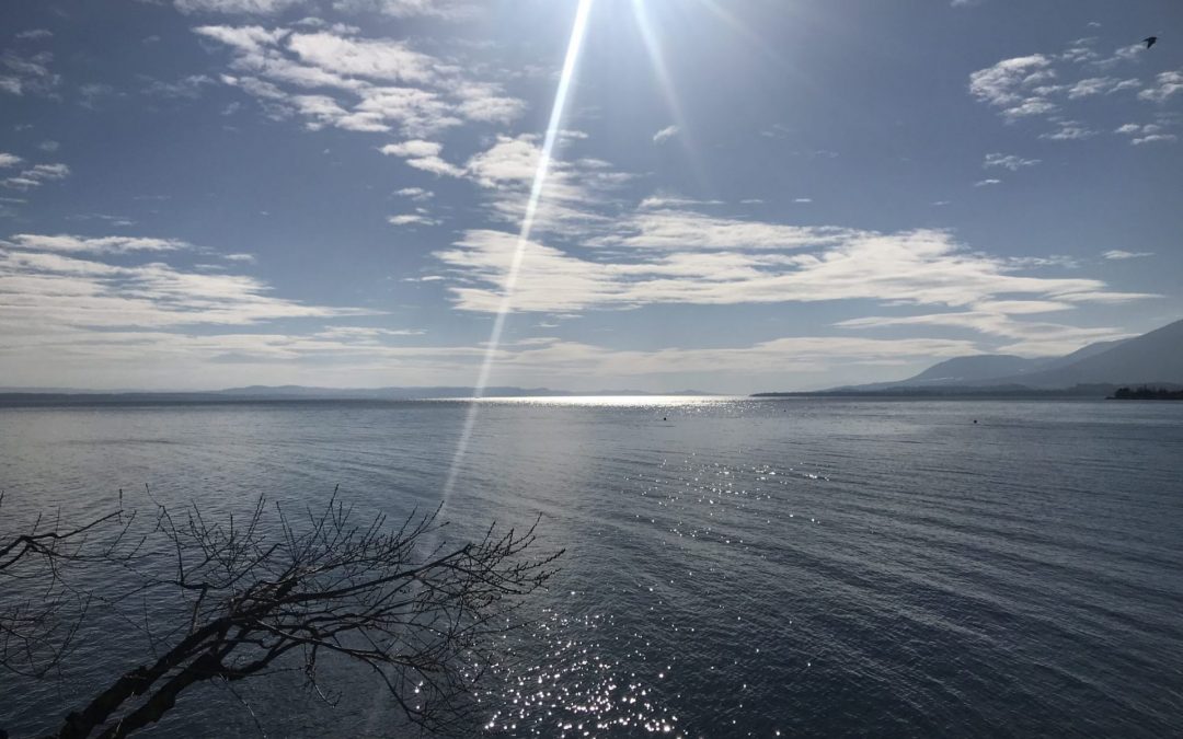 Wenn man immer nur tut, was sich gehört