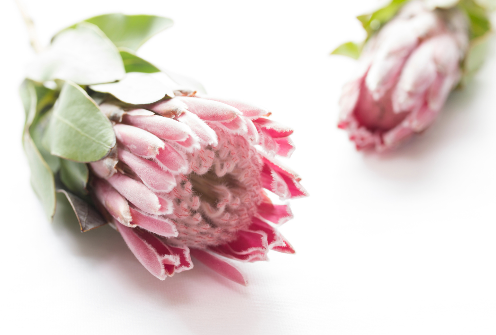 Der Umgang mit Enttäuschungen