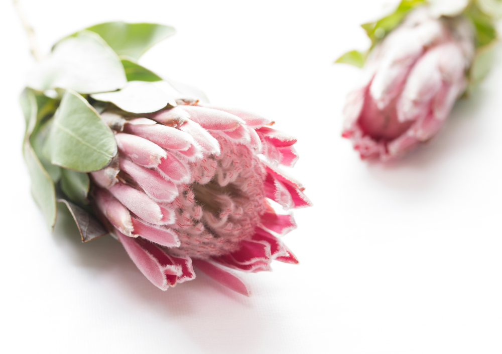 Der Umgang mit Enttäuschungen